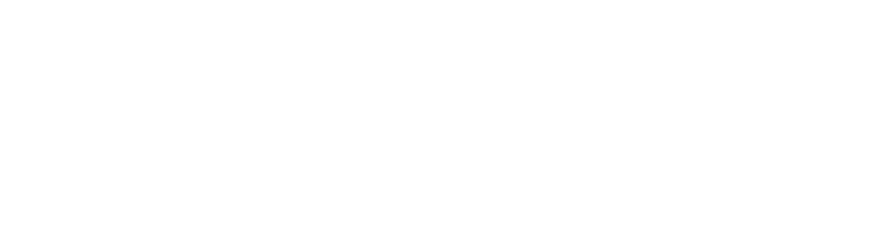 LBH_ExpressCare_rev_logo (4)